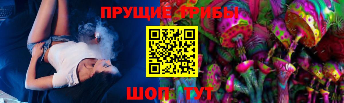 Галлюциногенные грибы Cubensis  Вход с VPN  Свободный 