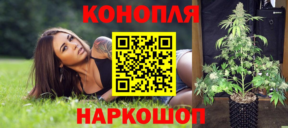 Шишки марихуана Bruce Banner Свободный
